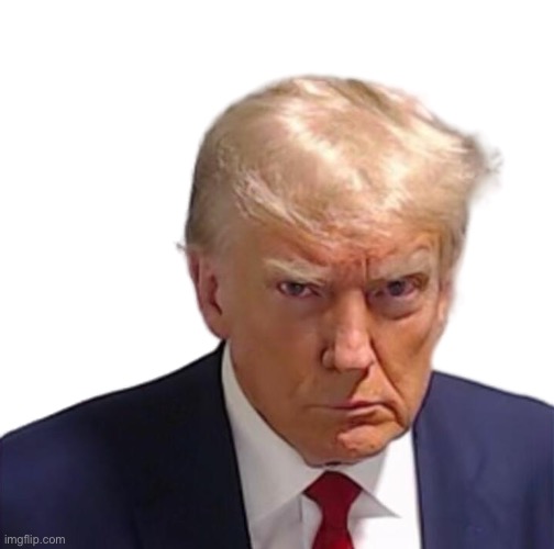 Trump mugshot | image tagged in trump mugshot | made w/ Imgflip meme maker