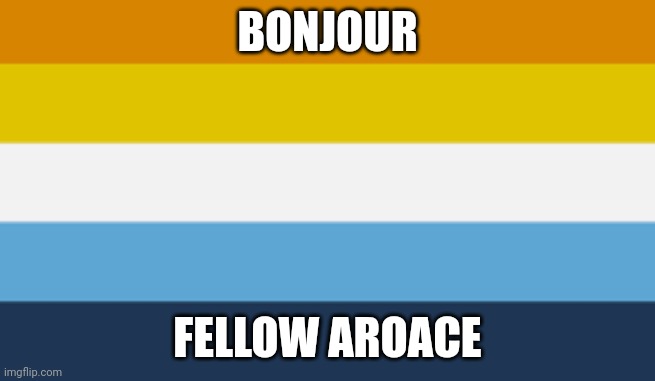 Aromantic Asexual Pride Flag (Aroace) | BONJOUR FELLOW AROACE | image tagged in aromantic asexual pride flag | made w/ Imgflip meme maker