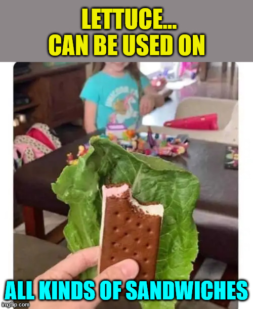 Lettuce | LETTUCE... CAN BE USED ON; ALL KINDS OF SANDWICHES | image tagged in eye roll,ice cream,sandwich,make me a sandwich | made w/ Imgflip meme maker