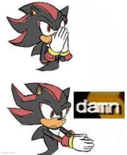 shadow damn | image tagged in shadow damn | made w/ Imgflip meme maker