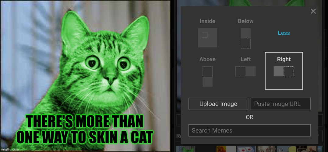 THERE'S MORE THAN ONE WAY TO SKIN A CAT | image tagged in raycat wtf | made w/ Imgflip meme maker