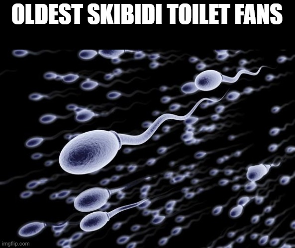 sperm swimming | OLDEST SKIBIDI TOILET FANS | image tagged in sperm swimming | made w/ Imgflip meme maker