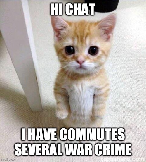 Cute Cat Meme | HI CHAT; I HAVE COMMUTES SEVERAL WAR CRIME | image tagged in memes,cute cat | made w/ Imgflip meme maker