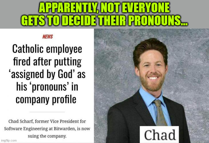 APPARENTLY, NOT EVERYONE GETS TO DECIDE THEIR PRONOUNS... | made w/ Imgflip meme maker