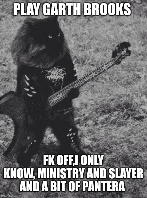 Black Metal Cat | PLAY GARTH BROOKS; FK OFF,I ONLY KNOW, MINISTRY AND SLAYER AND A BIT OF PANTERA | image tagged in black metal cat | made w/ Imgflip meme maker
