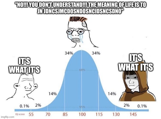 It is what it is | "NO!!! YOU DON'T UNDERSTAND!!! THE MEANING OF LIFE IS TO
JN JDNCSJMCDOSNDOSNCIDSNCSDNO"; IT'S WHAT IT'S; IT'S WHAT IT'S | image tagged in bell curve | made w/ Imgflip meme maker