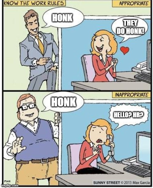 Know the Work Rules | HONK; THEY DO HONK! HONK; HELLO? HR? | image tagged in know the work rules | made w/ Imgflip meme maker