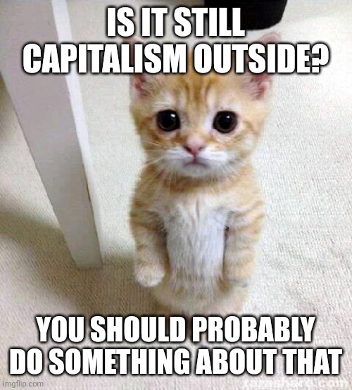 . | IS IT STILL CAPITALISM OUTSIDE? YOU SHOULD PROBABLY DO SOMETHING ABOUT THAT | image tagged in memes,cute cat,late-stage capitalism | made w/ Imgflip meme maker