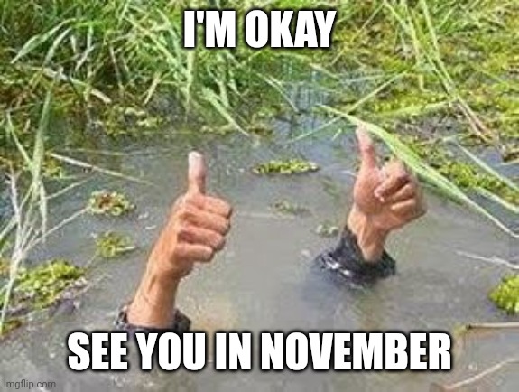 FLOODING THUMBS UP | I'M OKAY SEE YOU IN NOVEMBER | image tagged in flooding thumbs up | made w/ Imgflip meme maker