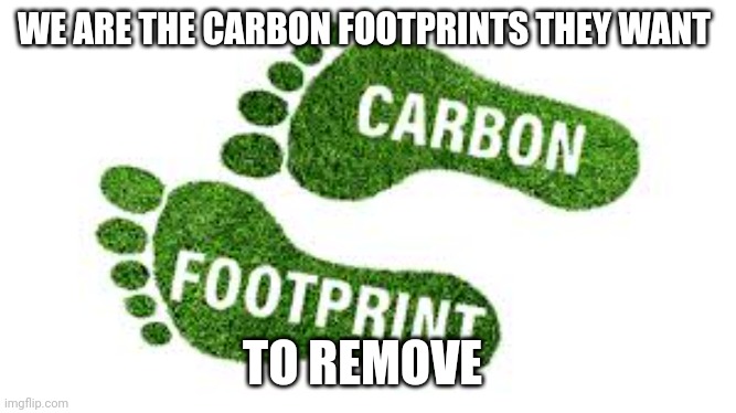 carbon footprints | WE ARE THE CARBON FOOTPRINTS THEY WANT; TO REMOVE | image tagged in carbon footprint | made w/ Imgflip meme maker