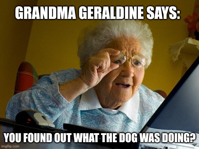 GUYS SHE FOUND OUT WHAT THE DOG WAS DOIN | GRANDMA GERALDINE SAYS:; YOU FOUND OUT WHAT THE DOG WAS DOING? | image tagged in memes,grandma finds the internet | made w/ Imgflip meme maker