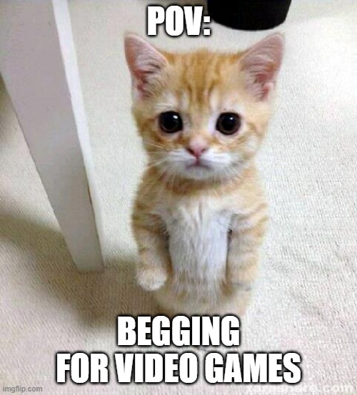 Desperate times call for desperate measures | POV:; BEGGING FOR VIDEO GAMES | image tagged in memes,cute cat,video games,begging | made w/ Imgflip meme maker