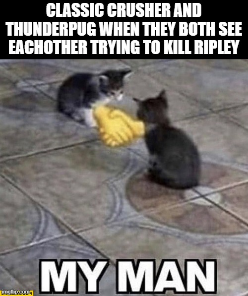 Cats shaking hands | CLASSIC CRUSHER AND THUNDERPUG WHEN THEY BOTH SEE EACHOTHER TRYING TO KILL RIPLEY | image tagged in cats shaking hands | made w/ Imgflip meme maker