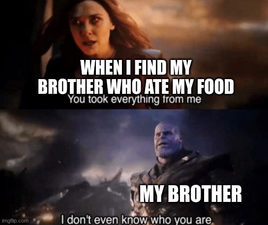 you took everything from me | WHEN I FIND MY BROTHER WHO ATE MY FOOD; MY BROTHER | image tagged in you took everything from me | made w/ Imgflip meme maker