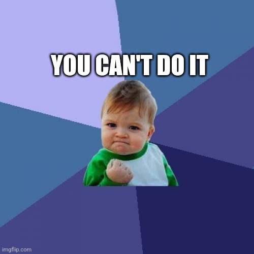 Success Kid Meme | YOU CAN'T DO IT | image tagged in memes,success kid | made w/ Imgflip meme maker