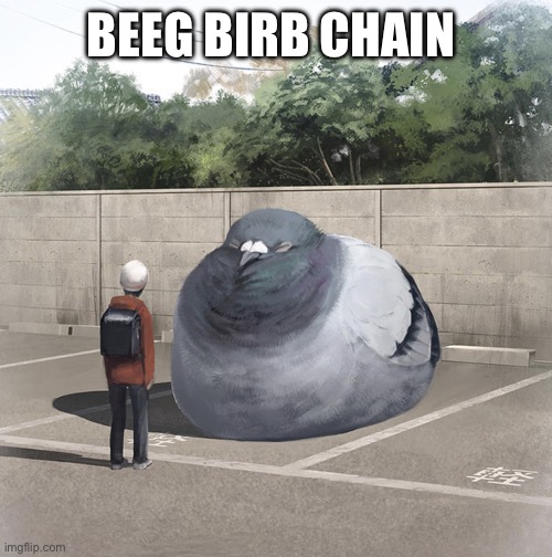 Beeg Birb | BEEG BIRB CHAIN | image tagged in beeg birb | made w/ Imgflip meme maker