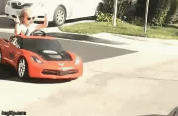 Animated GIF - Imgflip