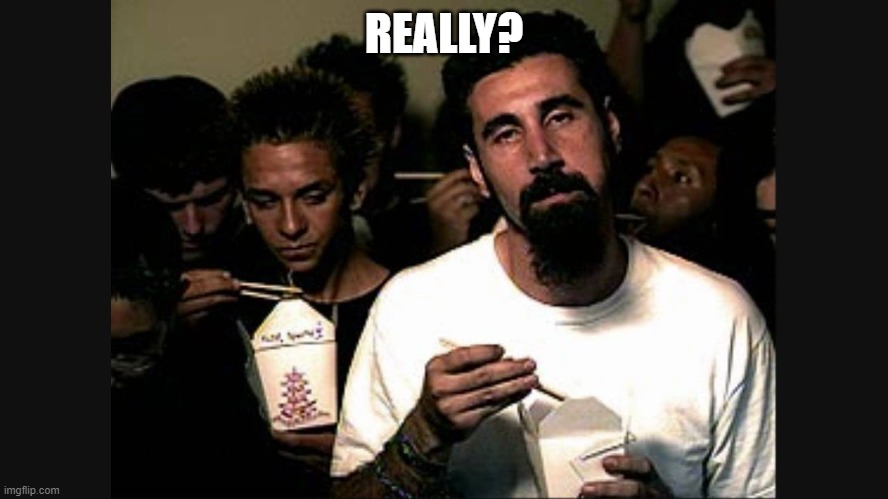 Serj Tankian | REALLY? | image tagged in serj tankian | made w/ Imgflip meme maker