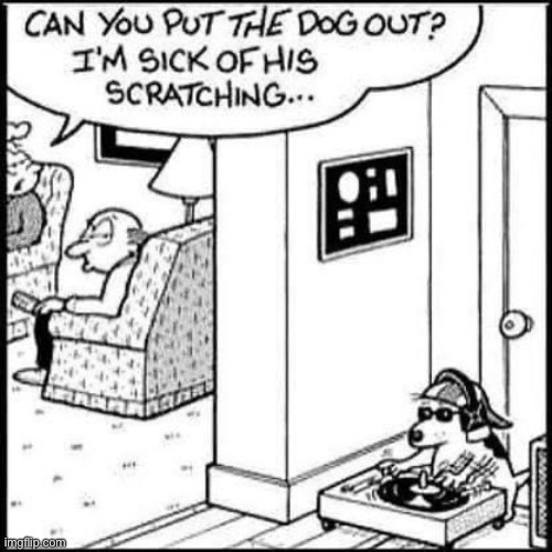 Dog scratching | image tagged in dog | made w/ Imgflip meme maker