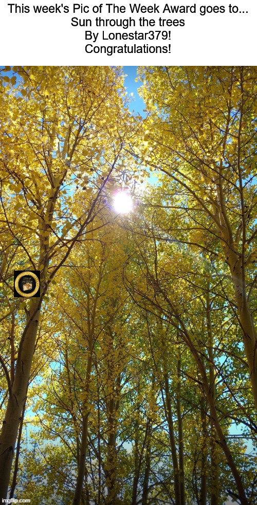 Sun through the trees by @Lonestar379 | This week's Pic of The Week Award goes to...
Sun through the trees
By Lonestar379!
Congratulations! | image tagged in share your own photos | made w/ Imgflip meme maker