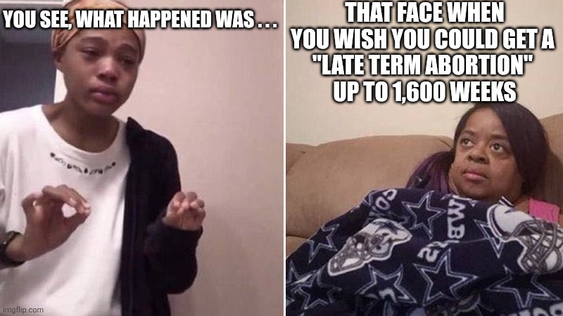 Me explaining to my mom | THAT FACE WHEN YOU WISH YOU COULD GET A 
"LATE TERM ABORTION" 
UP TO 1,600 WEEKS YOU SEE, WHAT HAPPENED WAS . . . | image tagged in me explaining to my mom | made w/ Imgflip meme maker