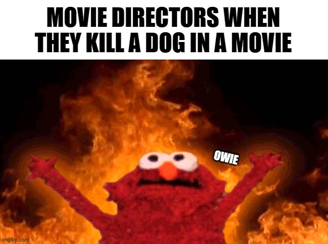 i dont like movies that do this. | MOVIE DIRECTORS WHEN THEY KILL A DOG IN A MOVIE; OWIE | image tagged in blank white template,elmo fire | made w/ Imgflip meme maker