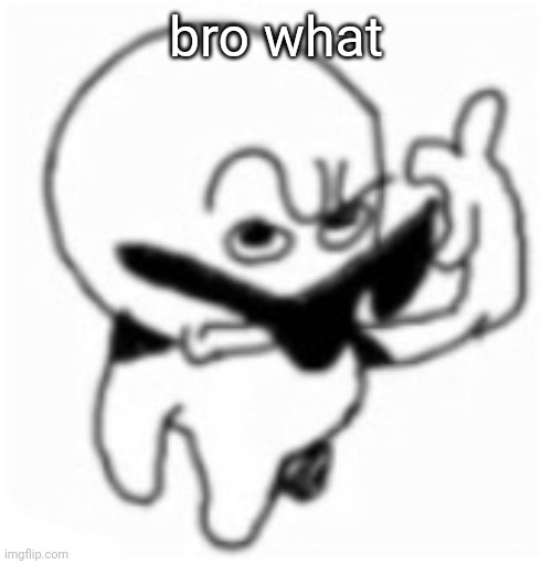 what did you say bro? | bro what | image tagged in what did you say bro | made w/ Imgflip meme maker