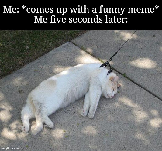 Eh, this shit too difficult | Me: *comes up with a funny meme*
Me five seconds later: | image tagged in lazy cat | made w/ Imgflip meme maker