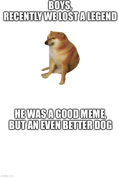 Blank White Template | BOYS, RECENTLY WE LOST A LEGEND; HE WAS A GOOD MEME, BUT AN EVEN BETTER DOG | image tagged in blank white template,doge,cheems | made w/ Imgflip meme maker