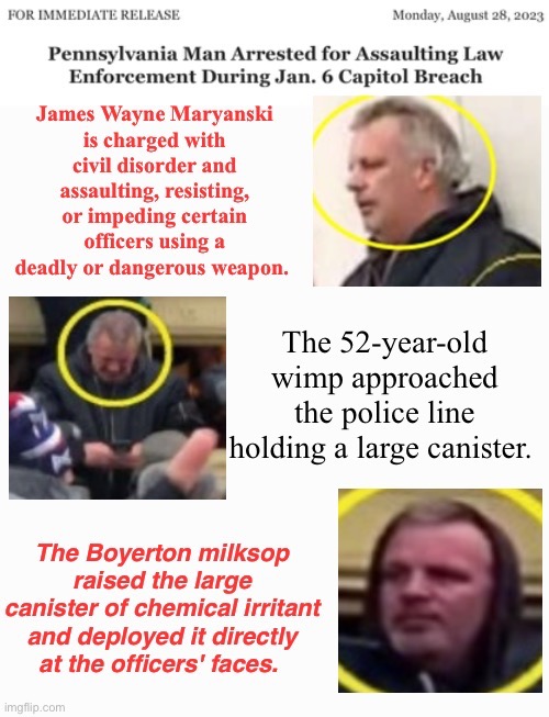 Jim Wayne Maryanski | image tagged in assault,domestic terrorists,treason,traitor,loser,safetyinnumbers | made w/ Imgflip meme maker