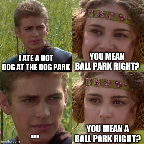 Anakin Padme 4 Panel | I ATE A HOT DOG AT THE DOG PARK YOU MEAN BALL PARK RIGHT? YOU MEAN A BALL PARK RIGHT? ... | image tagged in anakin padme 4 panel | made w/ Imgflip meme maker