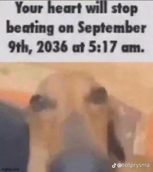 Your heart will stop beating (draw over watermark) | image tagged in your heart will stop beating draw over watermark | made w/ Imgflip meme maker