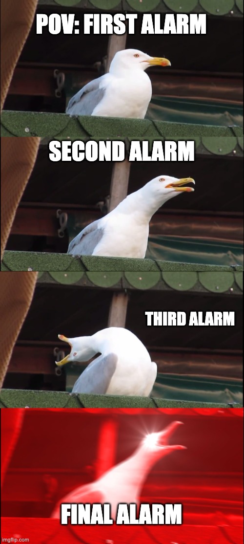 everybody gets it | POV: FIRST ALARM; SECOND ALARM; THIRD ALARM; FINAL ALARM | image tagged in memes,inhaling seagull | made w/ Imgflip meme maker