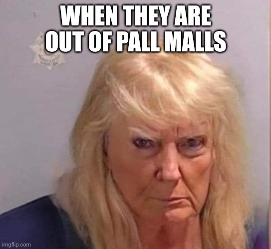 Donald Trump Mugshot meme | WHEN THEY ARE OUT OF PALL MALLS | image tagged in donald trump mugshot | made w/ Imgflip meme maker