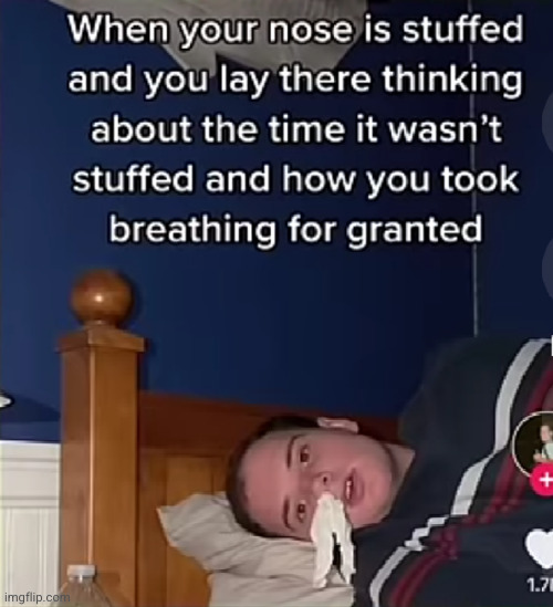 then I swore I would never take breathing for granted again | image tagged in heavy breathing,sick,nose,so true,funny,shower thoughts | made w/ Imgflip meme maker