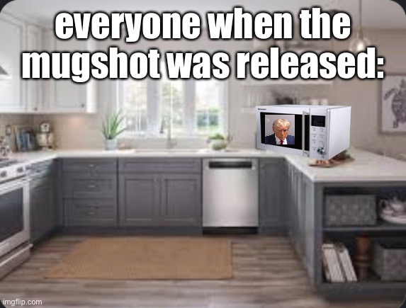 trump mug | everyone when the mugshot was released: | image tagged in funny,trump,mugshot,meme | made w/ Imgflip meme maker