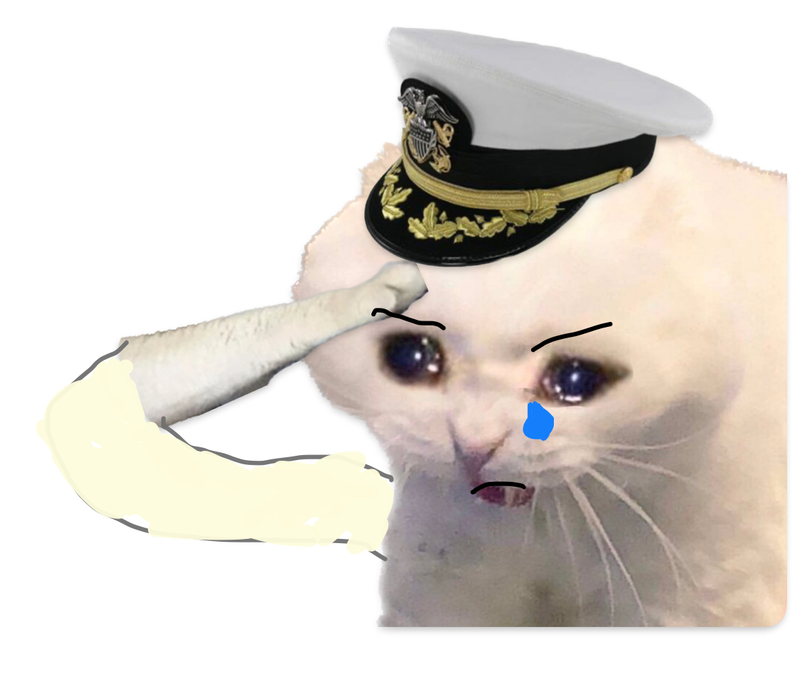High Quality Updated Saluting Navy Cat Blank Meme Template