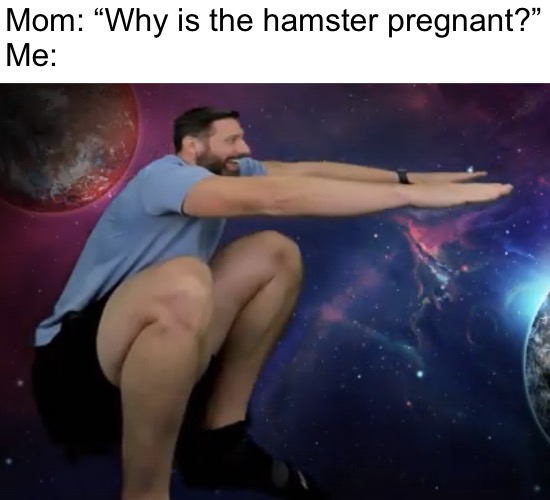 The dog | Mom: “Why is the hamster pregnant?”
Me: | image tagged in the dog | made w/ Imgflip meme maker