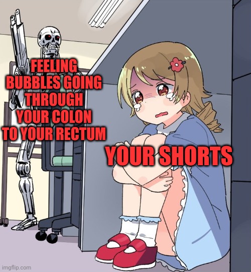 I'll be back | FEELING BUBBLES GOING THROUGH YOUR COLON TO YOUR RECTUM; YOUR SHORTS | image tagged in teminator searching for anime girl | made w/ Imgflip meme maker