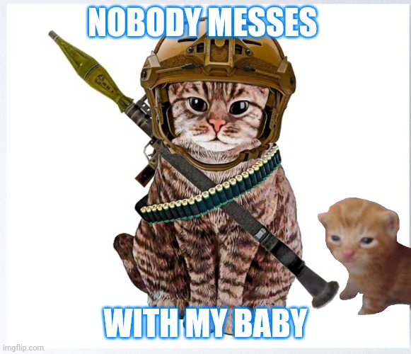 Cat soldier | NOBODY MESSES; WITH MY BABY | image tagged in cats | made w/ Imgflip meme maker