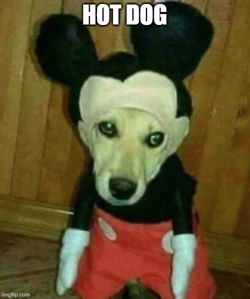 Hot Dog | HOT DOG | image tagged in hot dog | made w/ Imgflip meme maker