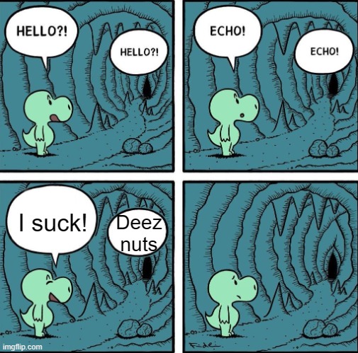 echo | I suck! Deez nuts | image tagged in echo | made w/ Imgflip meme maker