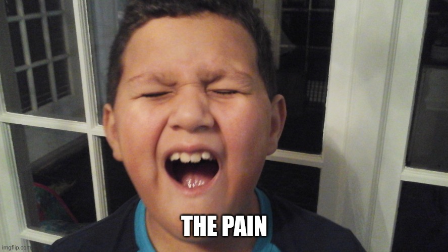 THE PAIN | image tagged in oh the pain | made w/ Imgflip meme maker