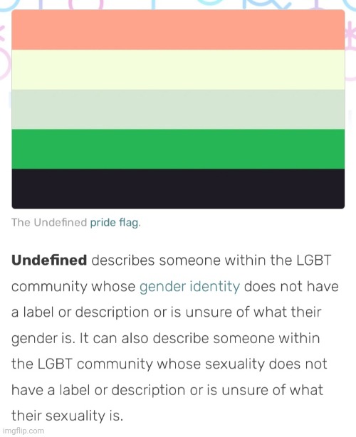 WELP THIS IS MY GENDER FLAG I GUESS  | made w/ Imgflip meme maker