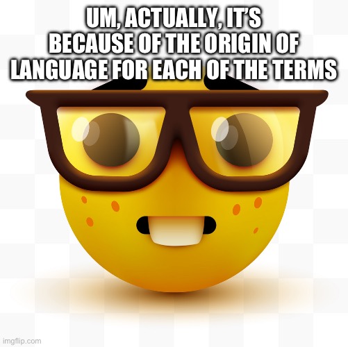 Nerd emoji | UM, ACTUALLY, IT’S BECAUSE OF THE ORIGIN OF LANGUAGE FOR EACH OF THE TERMS | image tagged in nerd emoji | made w/ Imgflip meme maker