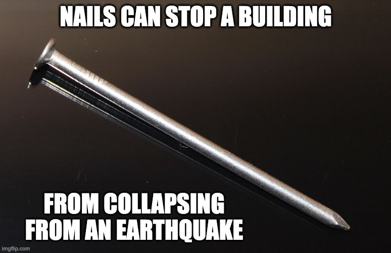 Nail | NAILS CAN STOP A BUILDING; FROM COLLAPSING FROM AN EARTHQUAKE | image tagged in nail,memes | made w/ Imgflip meme maker