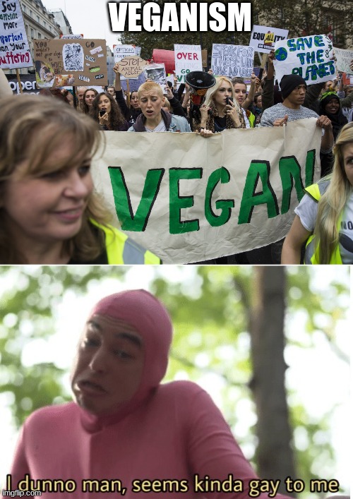 gEt ThIs tO tHe fRoNt PaIgE pLeAsE!1!111!11!1 | VEGANISM | image tagged in i dunno man seems kinda gay to me | made w/ Imgflip meme maker