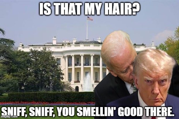 biden sniffing trump | IS THAT MY HAIR? SNIFF, SNIFF, YOU SMELLIN' GOOD THERE. | image tagged in biden sniff trump | made w/ Imgflip meme maker
