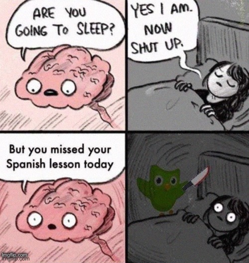 Typed a second watermark just for funsies | Imgflip.com | image tagged in duolingo,murder,bed | made w/ Imgflip meme maker