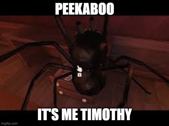 timothy | PEEKABOO; IT'S ME TIMOTHY | image tagged in timothy | made w/ Imgflip meme maker